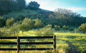 The Eden House Vineyard